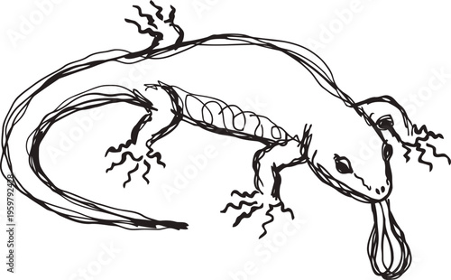 hand drawn lizard illustration with detailed limbs, tail, and forked tongue in black ink line art