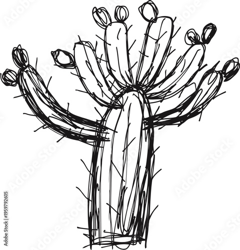 Hand drawn cactus illustration with multiple arms and spines on white background