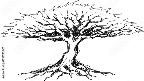 hand drawn oak tree sketch with spreading branches and visible roots in black ink line art