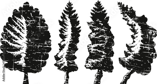 Vintage pine tree silhouettes collection black and white rough texture conifer shapes nature forest design elements