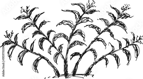 Hand drawn floral branch with leaves and small buds sketch botanical nature illustration in black ink