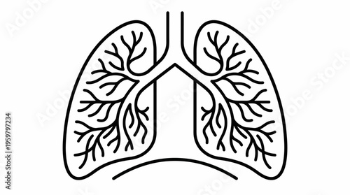 Detailed Human Lungs Outline Icon Showing Bronchial Tree for Respiratory Health on Isolated White Background