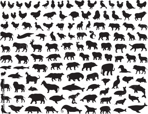 Black silhouettes of various animals on white background