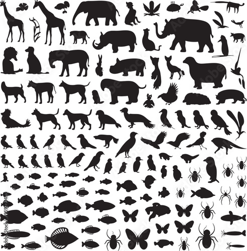 Black silhouettes of various animals on white background  many species  wildlife icons