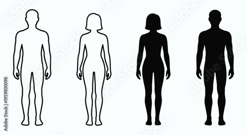 A vector illustration of silhouettes featuring a fashion model woman and a man in a front view sketch for human anatomy and beauty art design