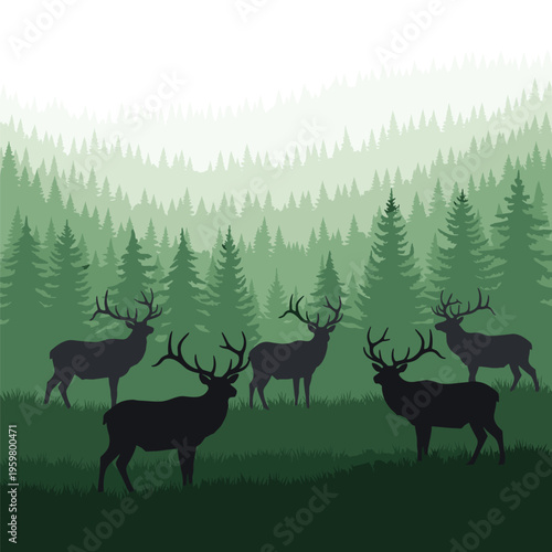 Elk standing in a forest clearing.