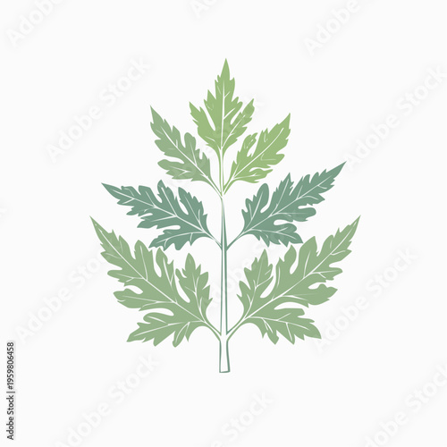 Beifuß Zweig Heilpflanze minimalistischer Vektor