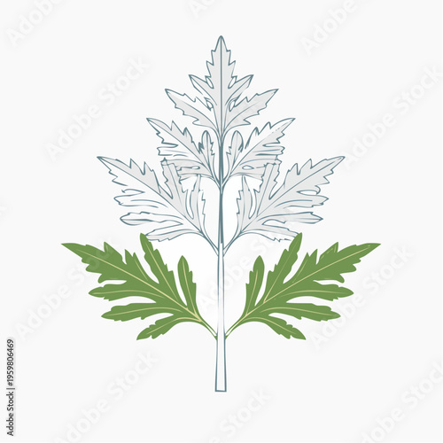 Beifuß Zweig Heilpflanze minimalistischer Vektor