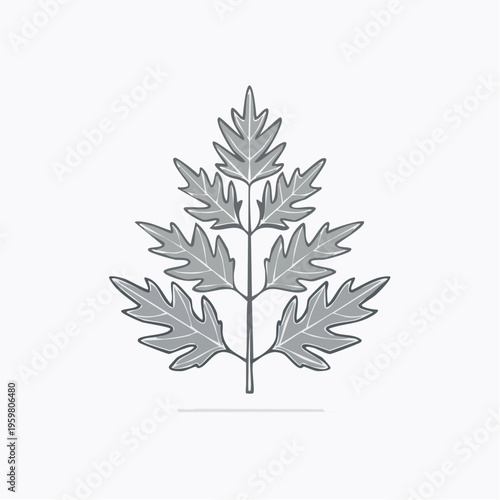 Beifuß Zweig Heilpflanze minimalistischer Vektor