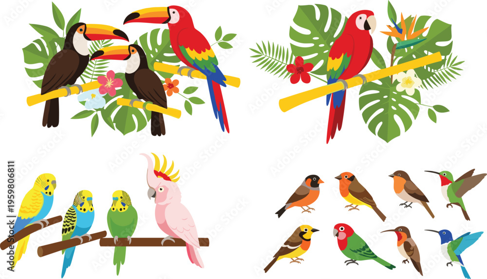 Fototapeta premium Colorful tropical bird vector collection featuring toucan macaw parrot cockatoo budgie and hummingbird species with exotic jungle leaves and flowers for summer nature design projects.