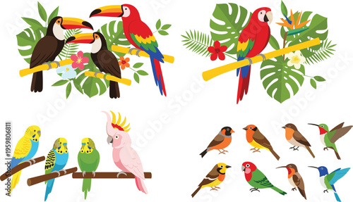 Colorful tropical bird vector collection featuring toucan macaw parrot cockatoo budgie and hummingbird species with exotic jungle leaves and flowers for summer nature design projects.