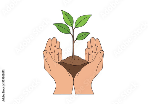 Two cupped hands holding a small seedling emerging from a mound of brown soil