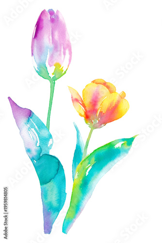 2本のチューリップの水彩イラスト　クリップアート（ベクター。花と葉は別レイヤー）