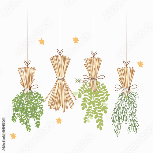 Getrocknete Kräuter Bündel Räucherwerk Vektor Grafik