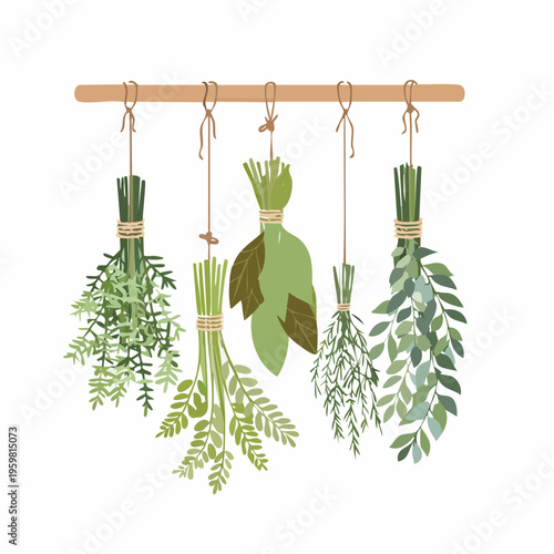 Getrocknete Kräuter Bündel Räucherwerk Vektor Grafik