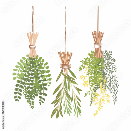 Getrocknete Kräuter Bündel Räucherwerk Vektor Grafik