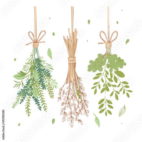 Getrocknete Kräuter Bündel Räucherwerk Vektor Grafik