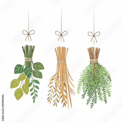 Getrocknete Kräuter Bündel Räucherwerk Vektor Grafik