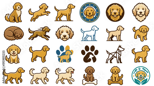Collection of vector illustrations depicting golden doodle dogs in various poses and styles.
