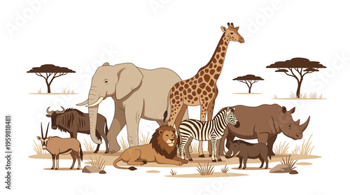 African Safari Animals Collection: Elephant, Lion, Giraffe, Zebra, Rhino, Wildebeest, Oryx, Warthog