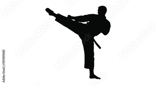A martial artist performs a dynamic kick in black silhouette