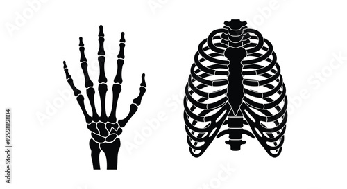 Anatomical illustration of a human hand and ribcage skeleton