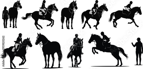 Horse riding silhouettes collection showing equestrian activities, galloping, jumping, trotting, horse standing, rider interaction, training, competition, sport, lifestyle illustration pack
