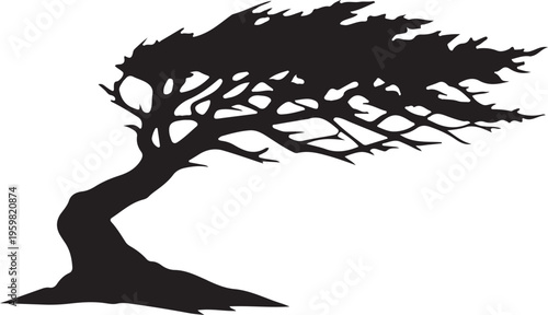 silhouette of lone tree with twisted branches