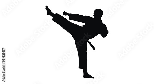 Martial artist performing a high kick in dynamic pose silhouette