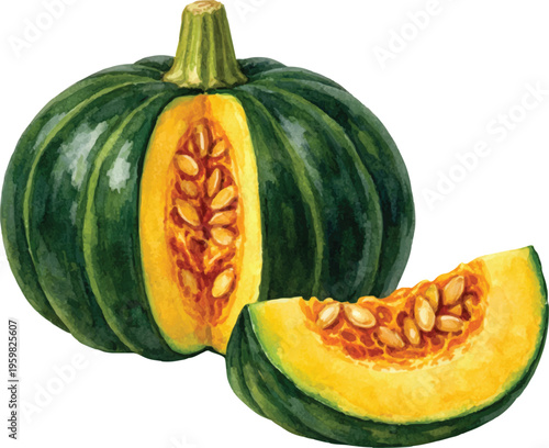 A beautiful watercolor green pumpkin clip art featuring a whole dark green pumpkin and a sliced wedge with golden flesh and seeds.