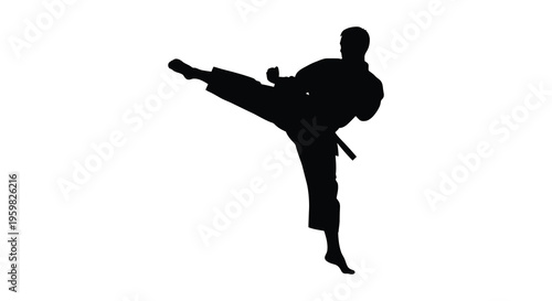 Martial artist demonstrates a dynamic kick in a striking silhouette