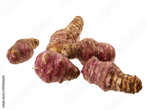 Fresh Organic Jerusalem Artichoke Tubers Grouped Together