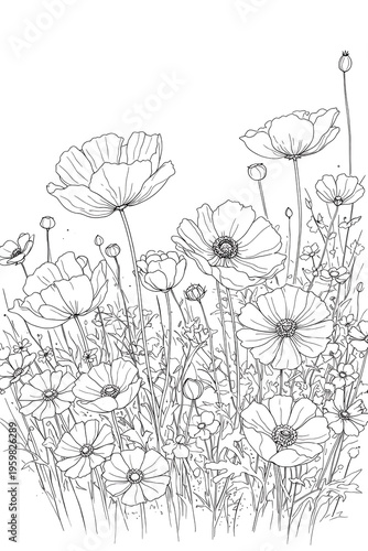 Wildflower Meadow Line Art Botanical Sketch Illustration