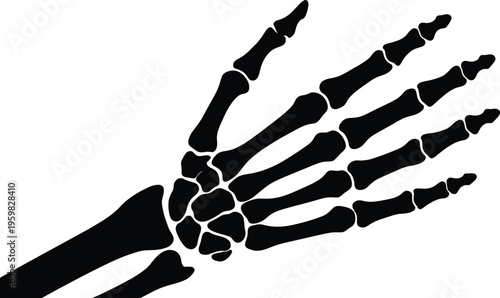 A set of vector silhouette illustrations featuring a human hand skeleton in a line art design concept for medical and educational purposes
