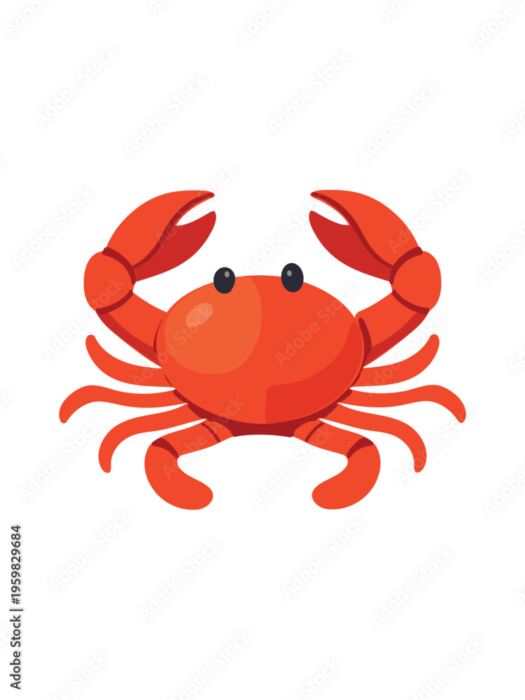 Fototapeta premium red crab isolated on clean white background top view