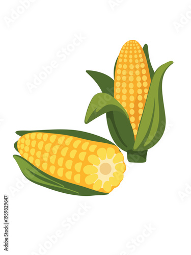 sweet corn cob with kernels close up detailed view