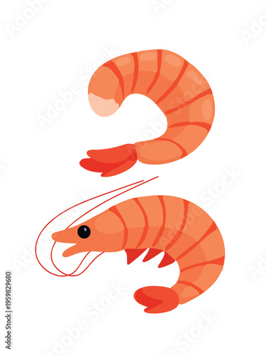 whole and peeled shrimp isolated on clean white background