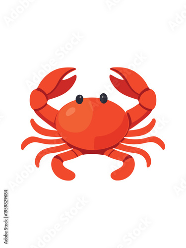 red crab isolated on clean white background top view