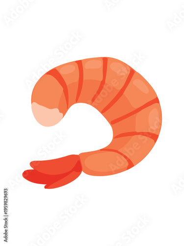peeled shrimp isolated on clean white background