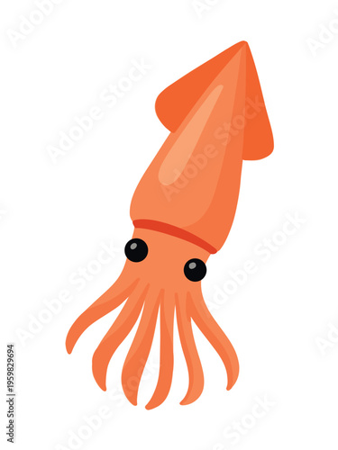 ocean seafood squid illustration with tentacles on white background
