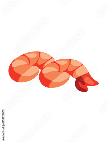 detailed peeled red shrimp arranged on minimal white surface