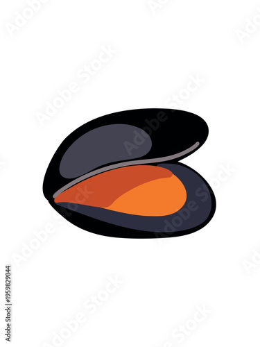 single mussel with shell arranged on minimal white surface