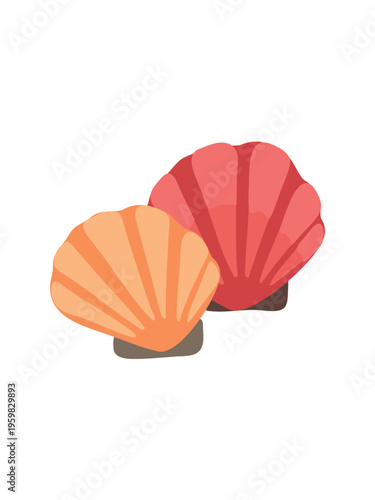 decorative seashell illustration on plain bright white background