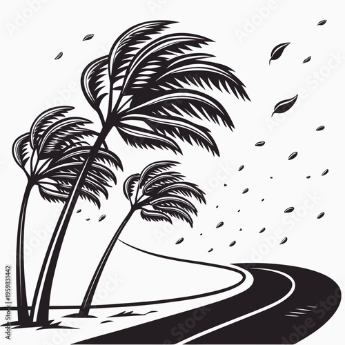 Black and white of palm trees on a road windy leaves