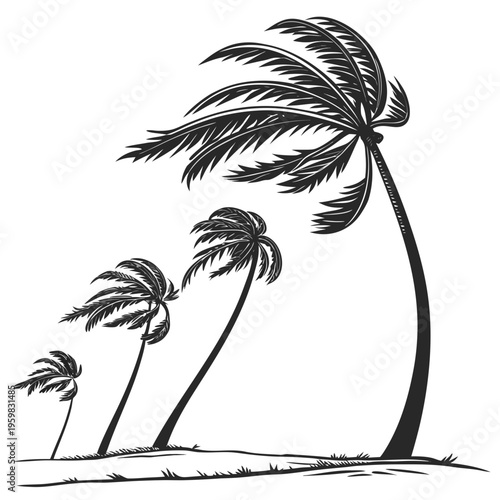 Black and white of three palm trees on a beach tropical