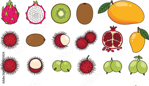 Hand Drawn Exotic Fruit Vector Icon Set Featuring Dragon Fruit Mango Rambutan and Pomegranate for Culinary and Botanical Graphic Designs