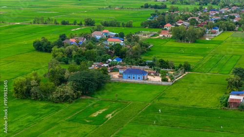Aerial view of a ricefield and villas in Kampot , Cambodia