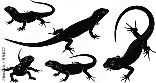 Silhouettes of lizards in diverse poses and orientations, creative vector artwork, modern design illustration, reptile graphics