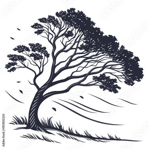 Dark blue of trees on a windy hill