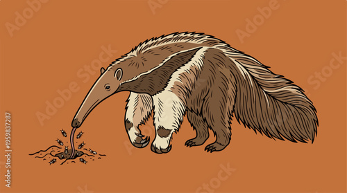 Armadillo digging in dirt ground.